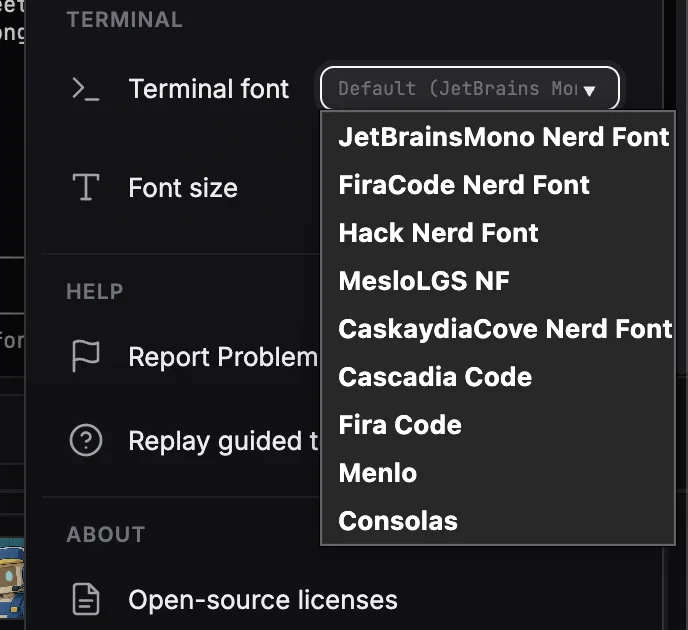 Settings: the terminal font dropdown listing JetBrainsMono Nerd Font, FiraCode Nerd Font, Hack Nerd Font, MesloLGS NF and more